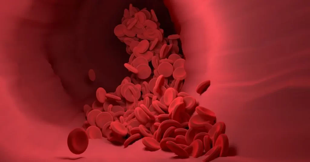 Haemoglobin-Fit Folic, fitfolic, fitfolic.com