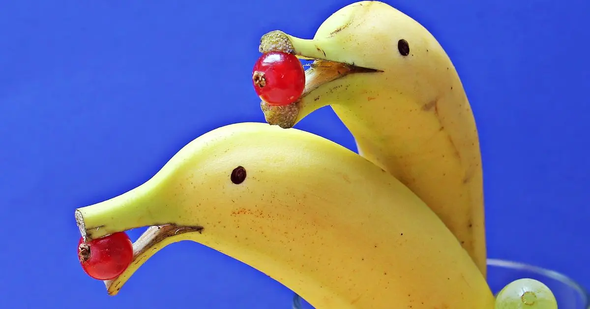 Three Types of Bananas-Fit Folic, fitfolic, fitfolic.com