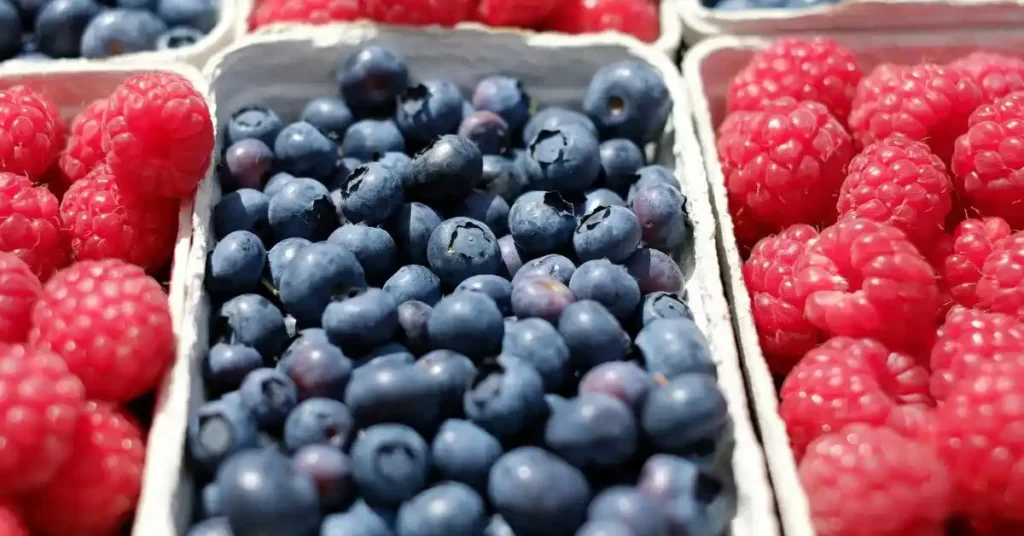 Blueberries -Fit Folic, fitfolic, fitfolic.com
