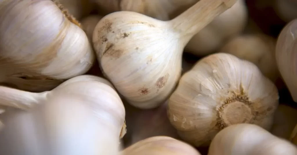  Garlic.-Fit Folic, fitfolic, fitfolic.com