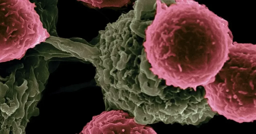 Growth of Cancer. Growth of Cancer.-Fit Folic, fitfolic, fitfolic.com